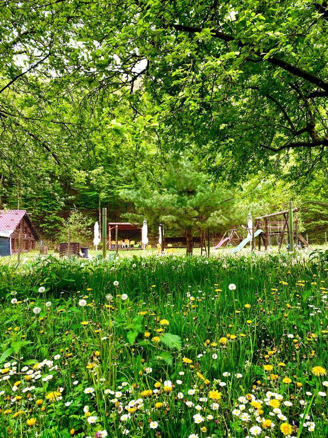 Bed and Breakfast House In The Woods à Resita Extérieur photo