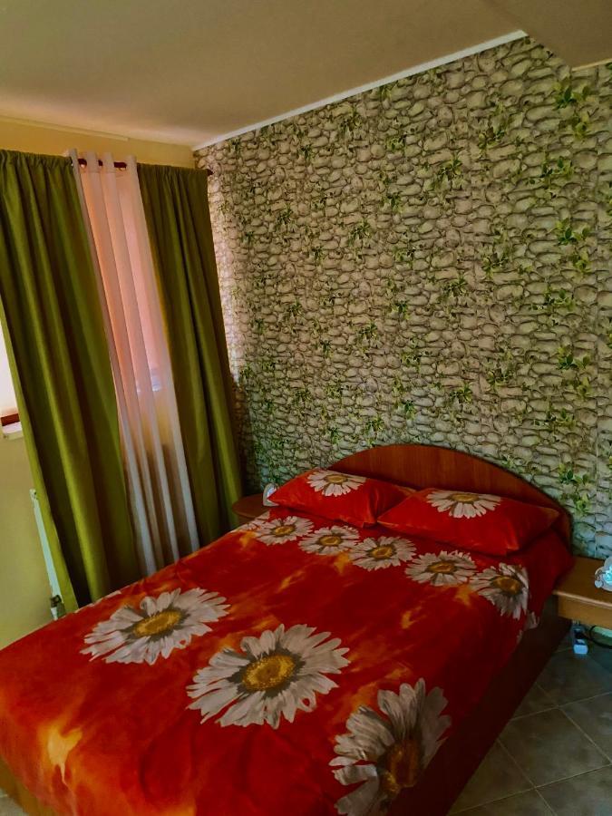 Bed and Breakfast House In The Woods à Resita Extérieur photo