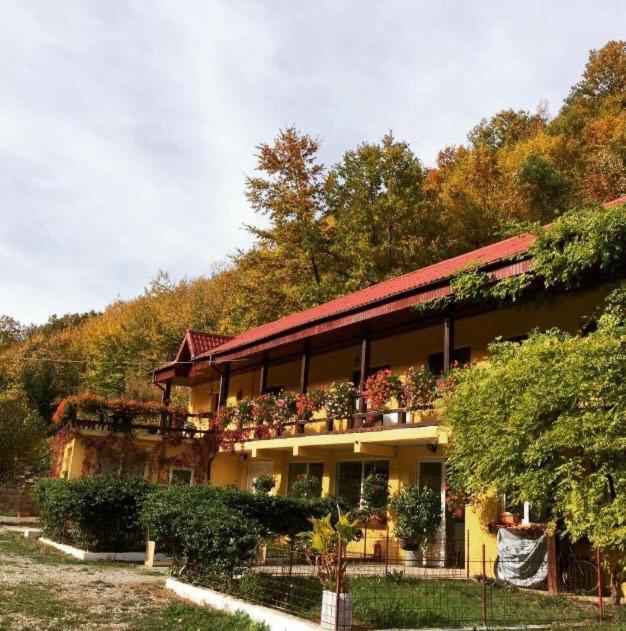 Bed and Breakfast House In The Woods à Resita Extérieur photo