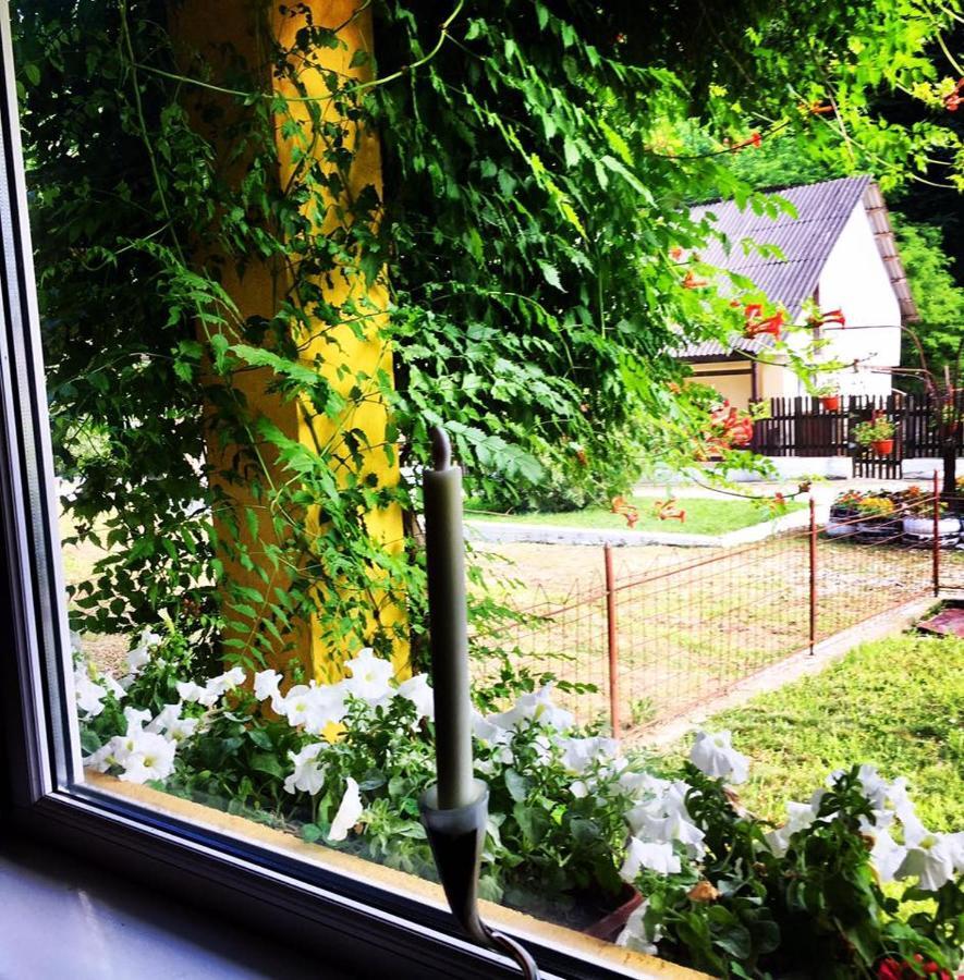 Bed and Breakfast House In The Woods à Resita Extérieur photo
