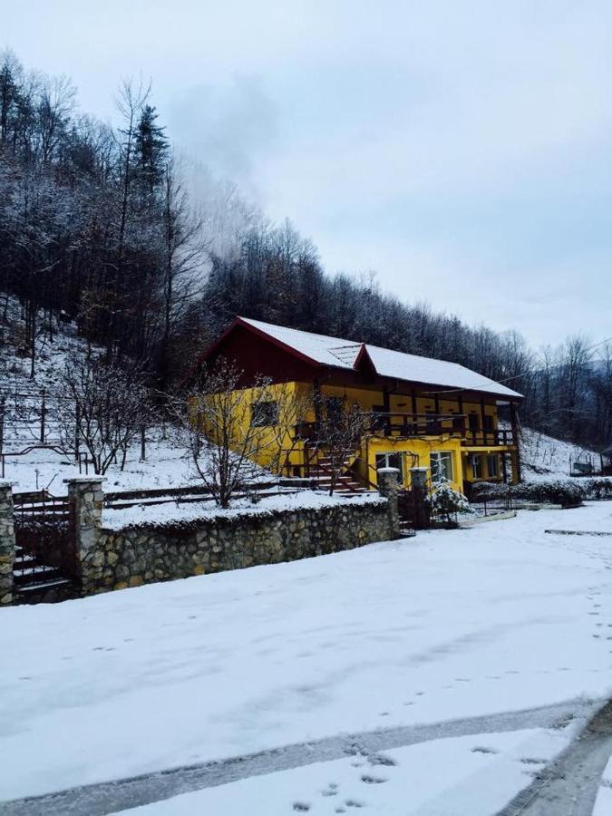 Bed and Breakfast House In The Woods à Resita Extérieur photo