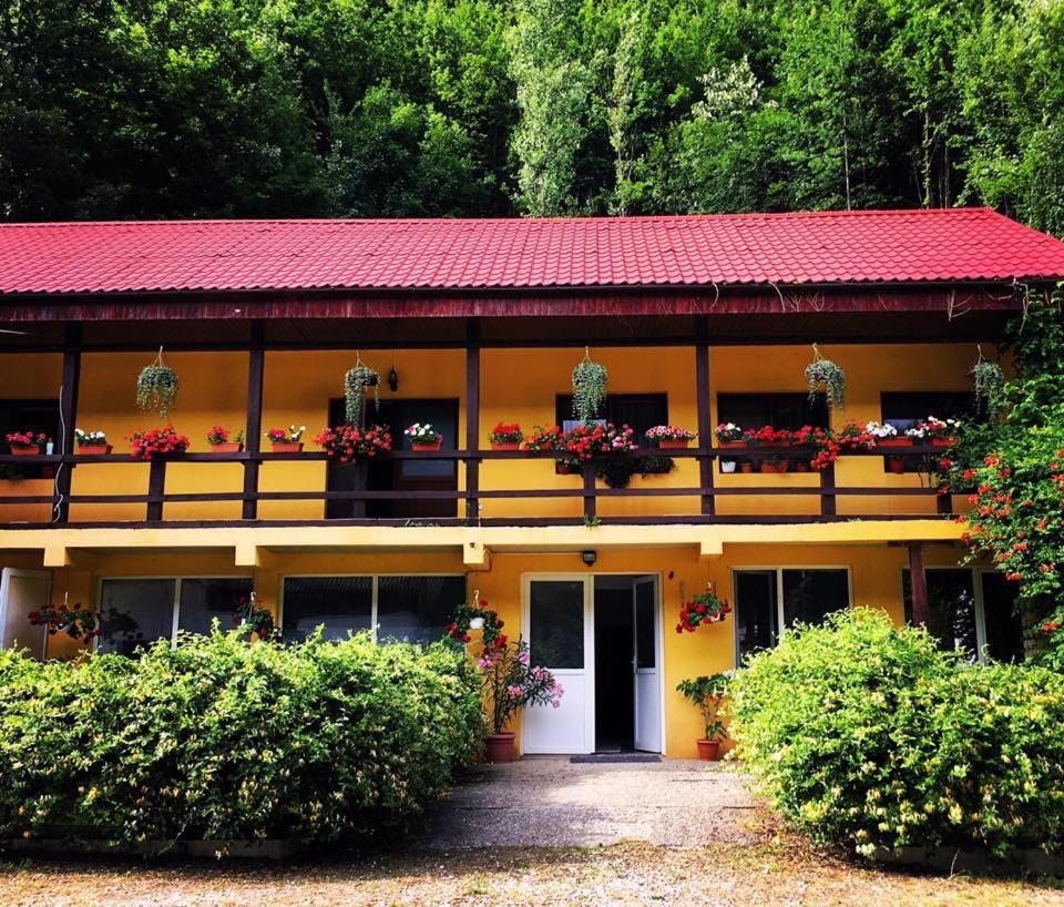 Bed and Breakfast House In The Woods à Resita Extérieur photo